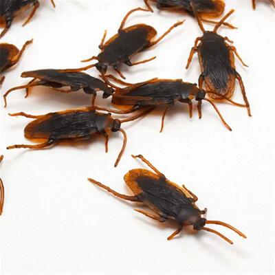 1PC Artificial Fake Roaches Novelty Cockroach Trick Prop Sca