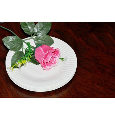 100 Pcs Classic White Round All Occasion Disposable Paper Di
