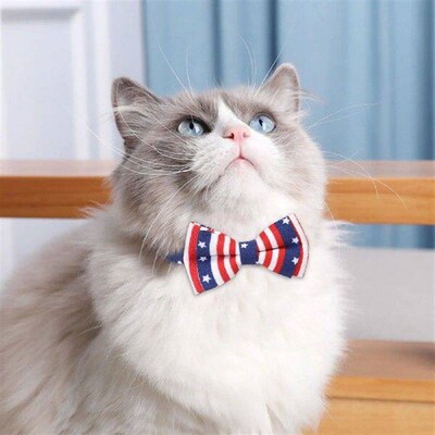 Ornament Collar And Holiday Collars Dogs Pet Decor