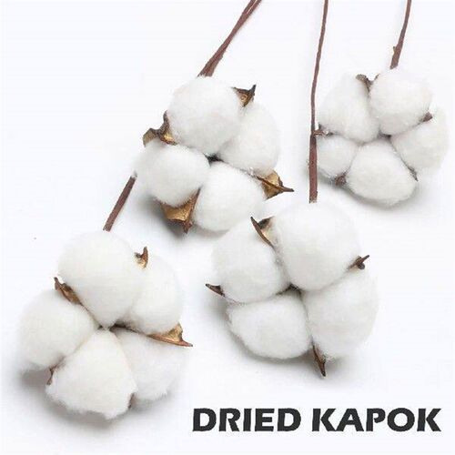 Dried Room Ornaments Decoration Simulation Living Bedroom