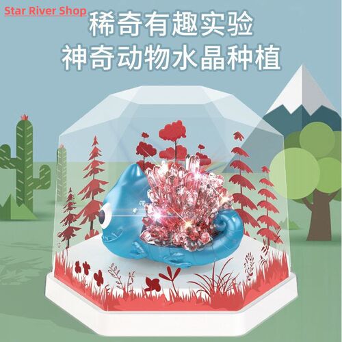 Crystal Growing Toy Kit Crystal Science Experiment Toy Activ