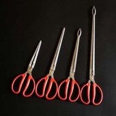 Clip Loach Pliers Crab slip albus Non Eel Monopterus