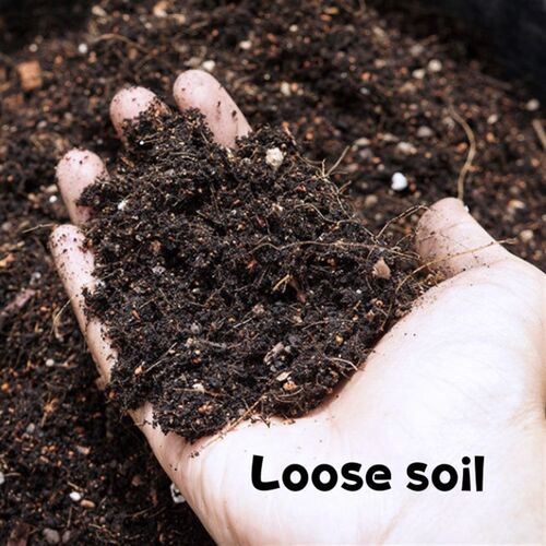 Potting soil organic soil, succulent soil, vegetable soil