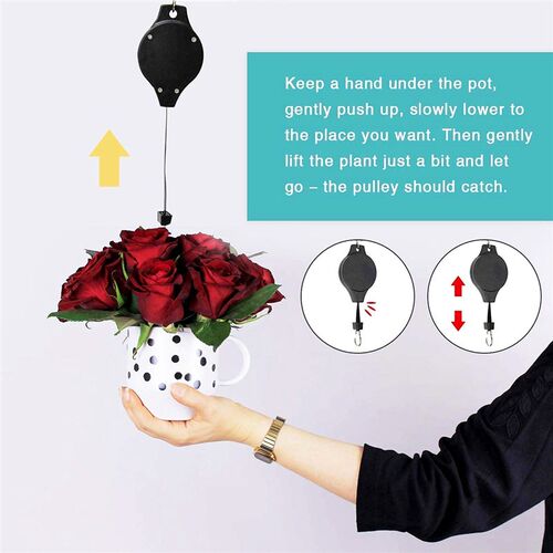 5 PCS Plant Pulley Retractable Plant Hanger Hanging Flower B