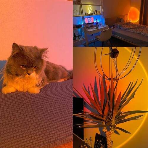 USB Sunset Light LED Rainbow Neon Night Lamp Sunset Projecto