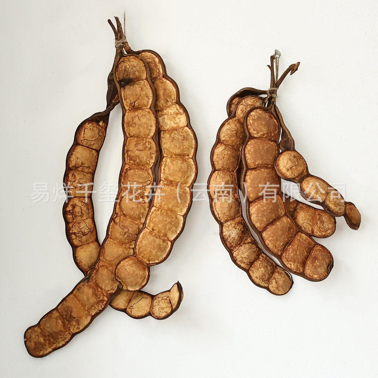 云南榼藤大豆荚平安豆老娃豆手工干花豆荚娃娃DIY材料包