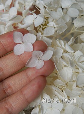 Colorful Preserved Hydrangea Home Decoration Wedding Decorat