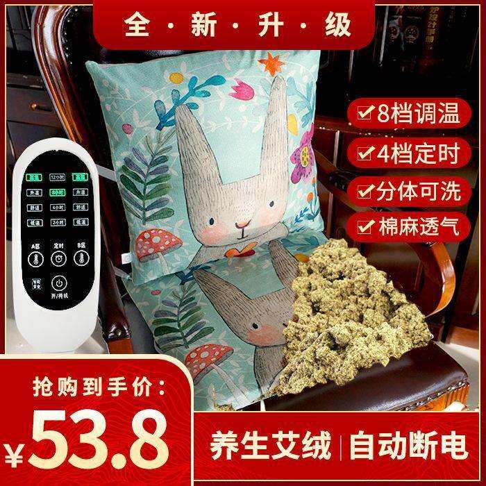 加热坐垫电暖垫腰靠双控发热座垫办公室多功能可拆洗电热椅垫一体