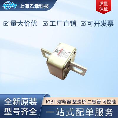 巴斯曼熔断器 170M6647 170M6648 170M6649 170M6650 170M6651