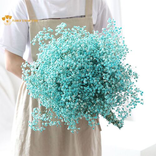 100g Natural Dried Flowers Baby Breath Flowers Bouquets