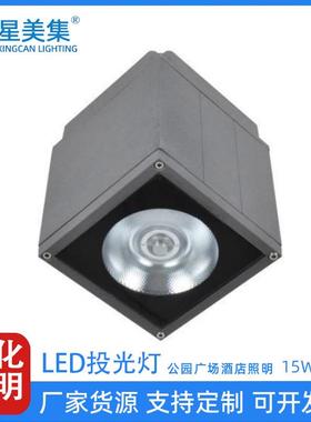 15W20W30W户外景观亮化LED壁灯花园庭院景观投光灯园林COB照树灯