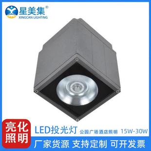 15W20W30W户外景观亮化LED壁灯花园庭院景观投光灯园林COB照树灯
