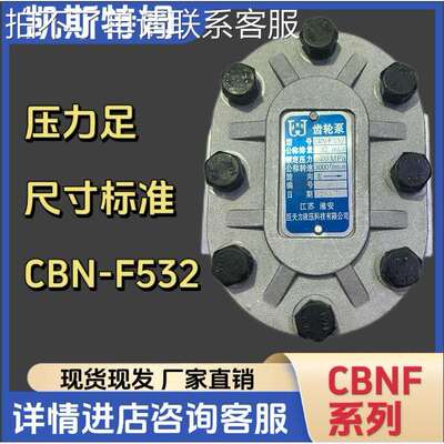 淮安巨天力液压齿轮泵CBN-F532 540 550 563齿轮油泵CBT-F532580