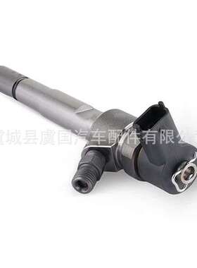 喷油器 0445110217 0445110217  0445110217  0445110217