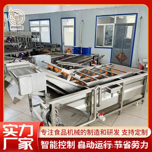 多功能酱菜清洗脱盐机 连续式杏鲍菇清洗设备 商用香菇气泡清洗机
