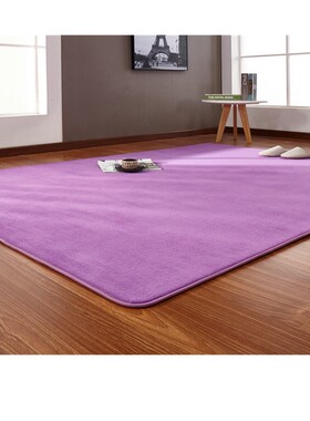 Velvet floor mat coffee table tatami bedside rug blanket