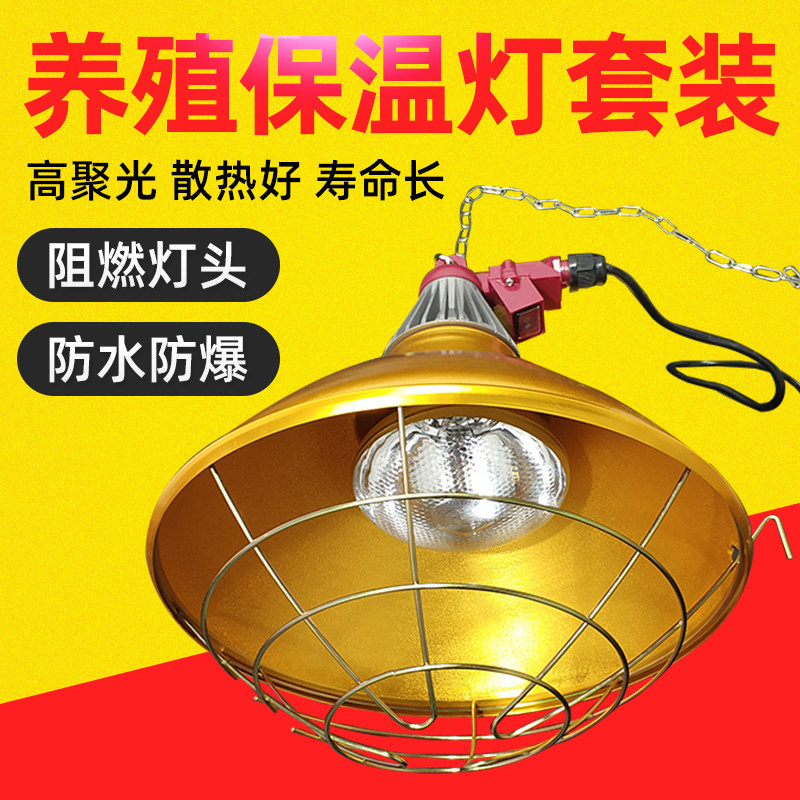 仔猪保温箱灯育雏鸡苗取暖灯泡灯罩可调温度加热小鸡猪养殖带线罩,畜牧/养殖物资,畜牧/养殖器械,淘宝优惠券,粉丝福利购,淘宝优惠卷