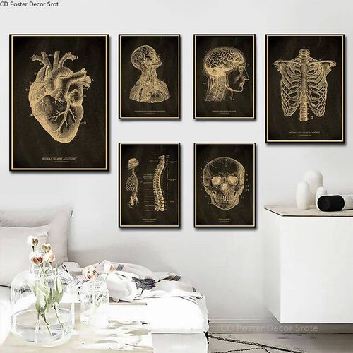 Anatomical Skeleton Chalkboard Poster Kraft Paper Posters DI