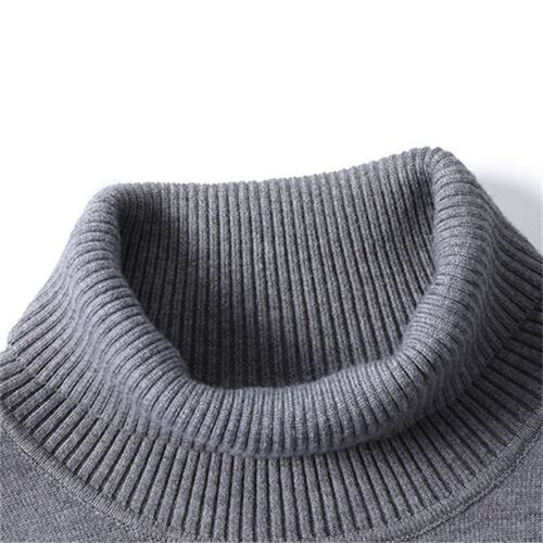 AutumnWinter Mens Solid Pullover Sweater High Neck Casual Kn