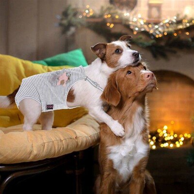 Suspenders Physiological Pants Pet Fashion Diaper for Dogs