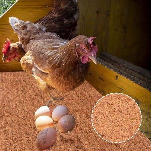 6pcs Chicken Nest Box Liners Chicken Coop Bedding, Poultry
