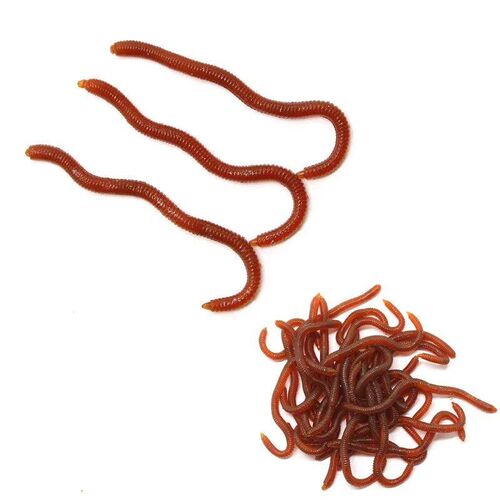 20pcs Lifelike 4 colors Earthworm bait Worms Artificial Fish