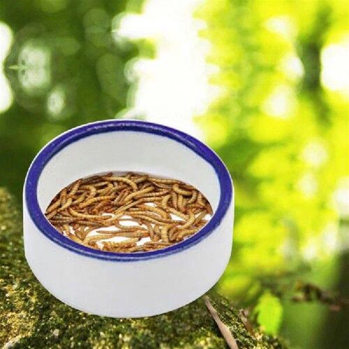 Bowl Water Dish Round Bowl Ceramic Escape Proof