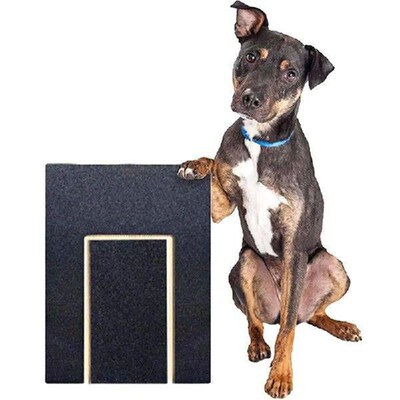 Dog Nail Scraper Can Be Pulled Out To Repair Nail File