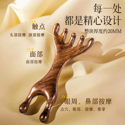 Head Meridian Massage Comb Head Fe Scalp Gua Sha Scraping