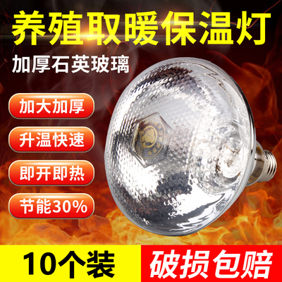 仔猪用保温灯养殖场专用取暖灯小鸡仔猪加热烤灯育雏兽用保暖灯泡