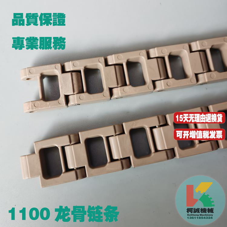 1100龙骨链条25.4节距塑料链条 POM材质清洗机输送链气浮机传送链