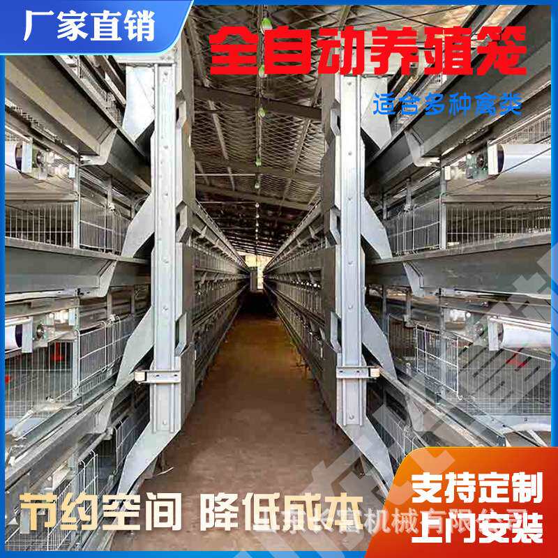 鸡笼层叠式养鸡设备立式H型自动蛋鸡笼多层清粪鸽子笼鹌鹑养殖笼