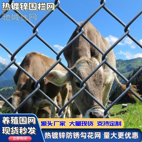 镀锌铁丝网钢丝网防护网羊牛猪护栏网山地果园隔离栅栏养殖围栏网