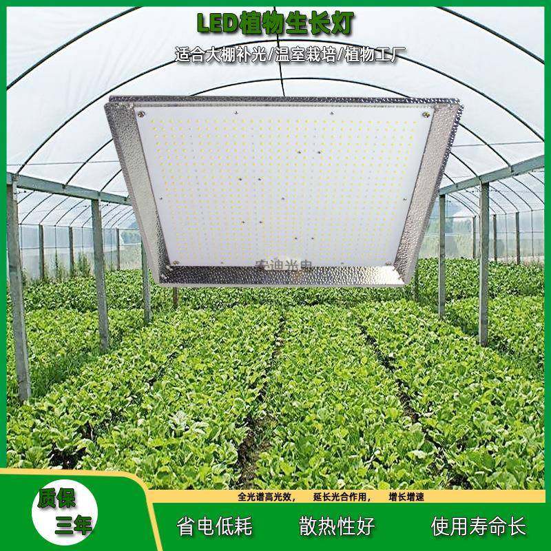 源头厂家全光谱量子板植物生长灯蔬菜瓜果补光灯大棚植物灯,鲜花速递/花卉仿真/绿植园艺,割草机/草坪机,淘宝优惠券,粉丝福利购,淘宝优惠卷