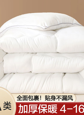 【贴身不漏风】被子冬被加厚保暖冬季棉被芯四季通用春秋被空调被