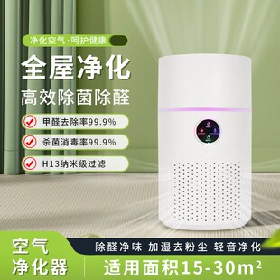 2024新款 桌面空气净化器家用除甲醛紫外线杀菌除臭除烟尘加湿器