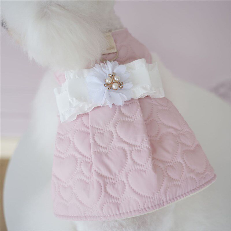 棒棒糖秋冬款宠物猫狗衣服香风夹棉裙保暖裙子泰迪博美外出可牵引