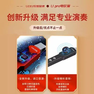 L1电吹管中老年人入门电吹萨克斯葫芦丝唢呐笛子 新款 乐旭 LeXu