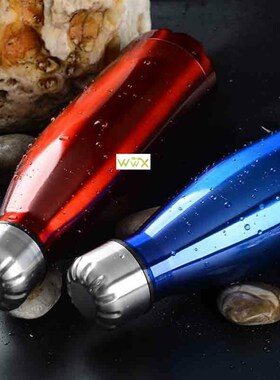 Insulated Vacuum Flask Stainless Steel Water Bottle