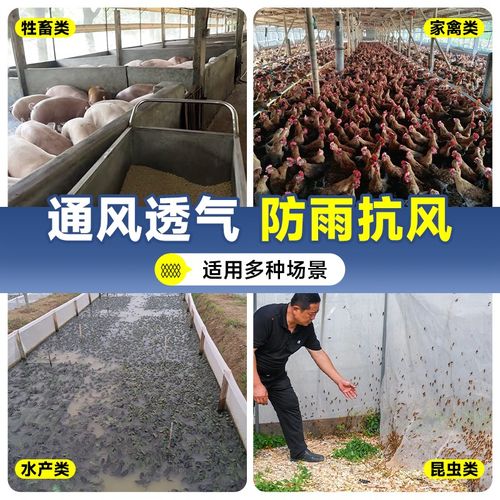 防虫网纱网养殖场专用大棚种菜尼龙农用防蚊防鸟果树蚂蚱养殖网罩