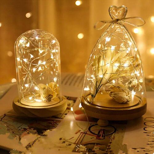 5pcs 2m Copper Wire LED String Lights Holiday Fairy Lights G