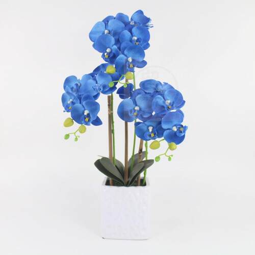 。Feel Phalaenopsis simulation flower set creative silk flow