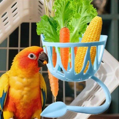 parrot vegetable and fruit feeding rack with perch