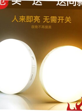 PIR Motion Sensor LED Night Light USB Rechargeable Lamp