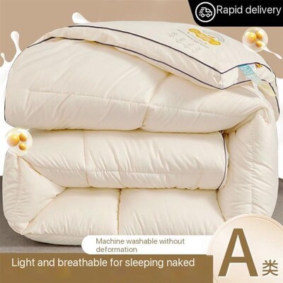 summer autumn quilt thick comforter duvet blanket 被子被芯