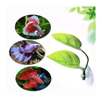 Aquarium Accessories Fish Tank Betta Leaf Fish Bed Fish Rest