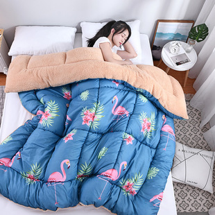 Winter Super Warm Flannel Comforter Duvet Quilt Blanket beds