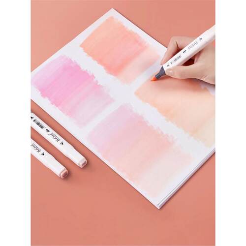 Bview Art Dual Tip Alcohol Based Flesh Color Marker Pen Set