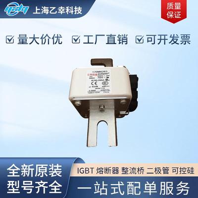 巴斯曼熔断器 170M6249 170M6250 170M6251 170M6252 170M6253