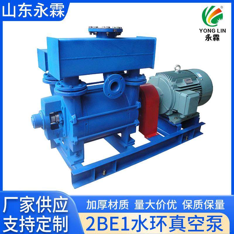 供应2BE1-153水环真空泵抽凝式改造真空装置2BE1水环真空泵真空机,鲜花速递/花卉仿真/绿植园艺,割草机/草坪机,淘宝优惠券,粉丝福利购,淘宝优惠卷